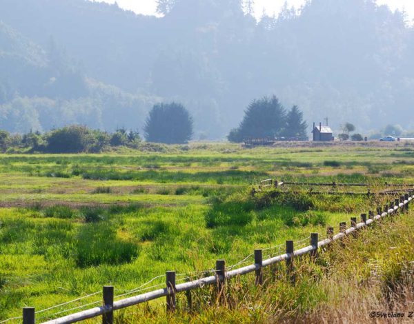 Oregon Landscape -Photography by Svetlana Zoubkov