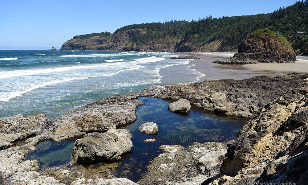 Oregon Coast: Short Beach