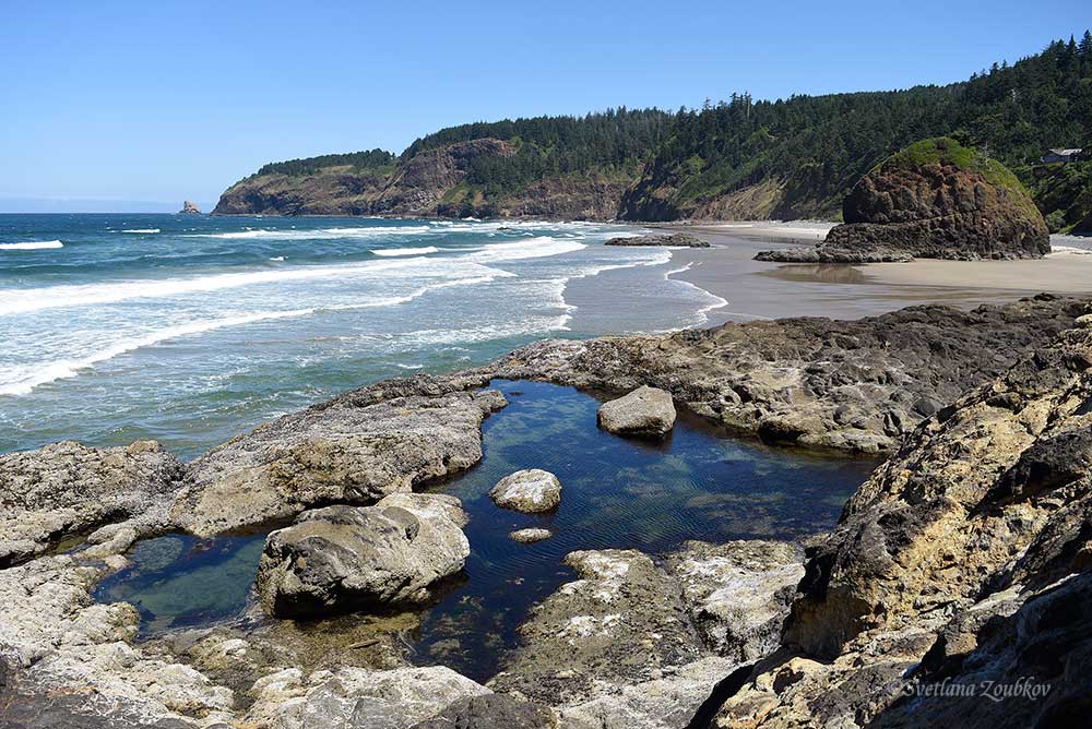 Oregon Coast: Short Beach
