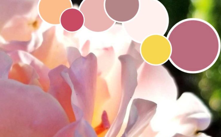 Miyuki Rose Color Palette