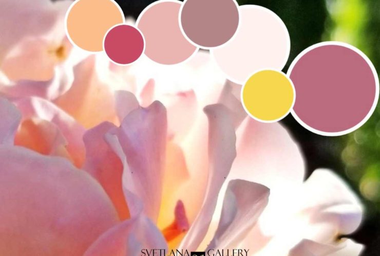 Miyuki Rose Color Palette
