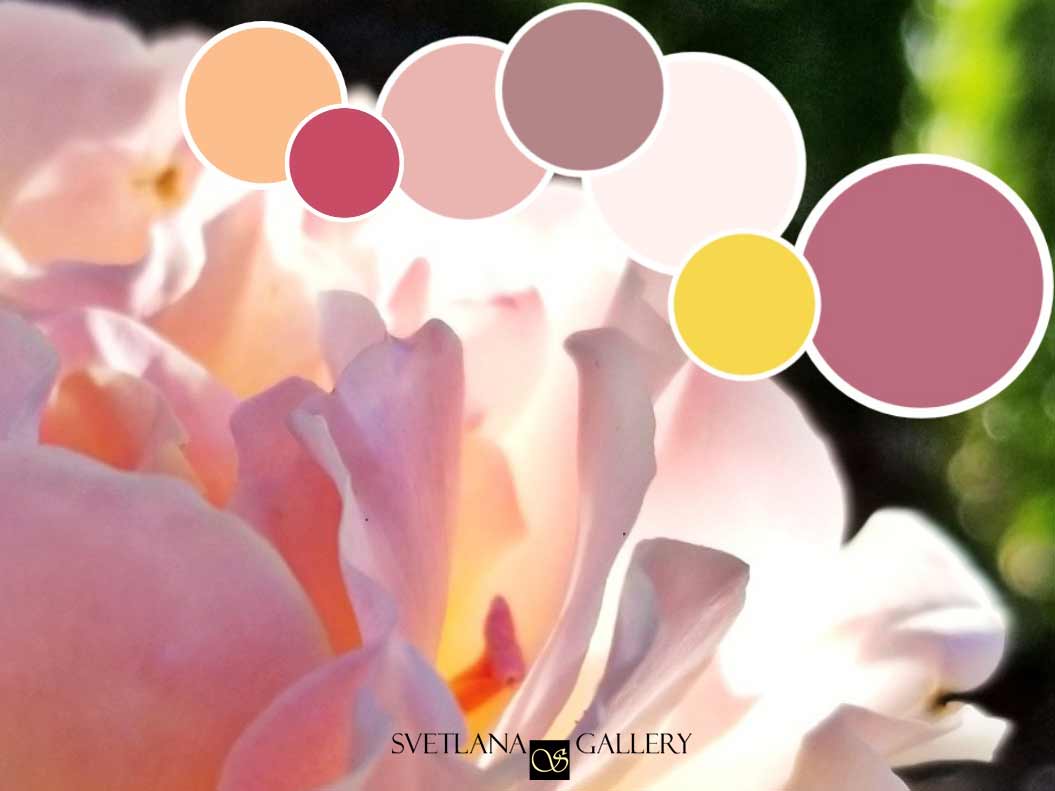 Miyuki Rose Color Palette